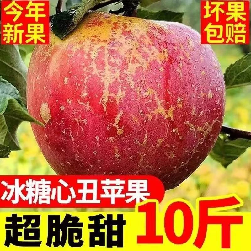 大凉山丑苹果5斤新鲜水果当季现摘现发红富士冰糖心苹果整箱包邮