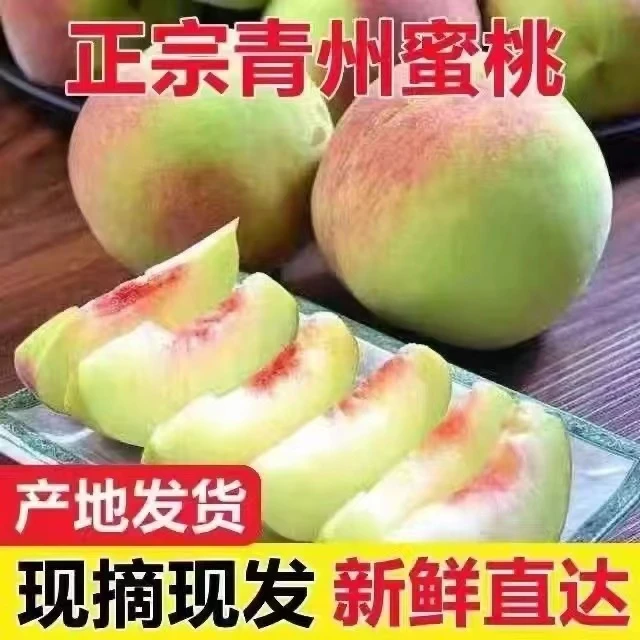 青州蜜桃脆甜桃子3-5斤新鲜冬雪蜜桃水果青毛桃水蜜桃秋桃冬桃