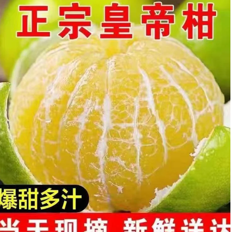 正宗皇帝柑贡柑大果3-9斤当季新鲜水果蜜桔柑橘砂糖整箱包邮。