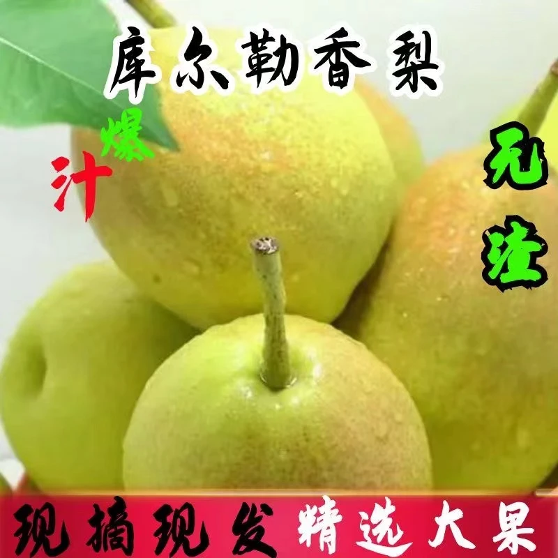 正宗库尔勒香梨全母梨子水果新鲜当季整箱大果孕妇果甜包邮