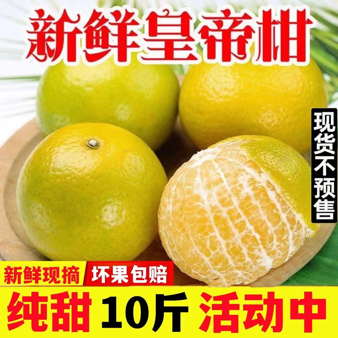 皇帝柑青皮儿贡柑纯甜现摘新鲜应水果陈皮大果3-9斤现货无籽整箱