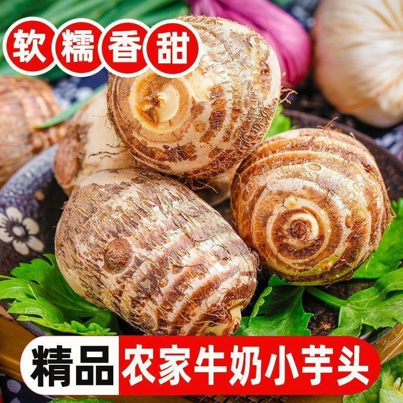 新鲜牛奶小芋头香芋头现挖毛芋头3-9斤小香芋头软糯现挖整箱包邮