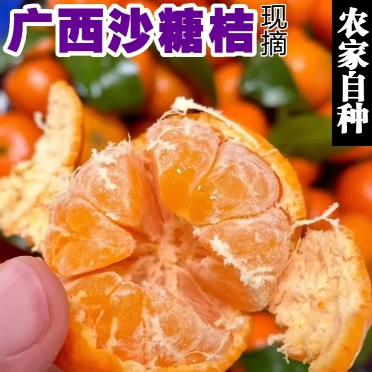 新鲜水果当季皇帝沙糖蜜橘3-9斤砂糖柑橘桔子橘子鲜果整箱包邮