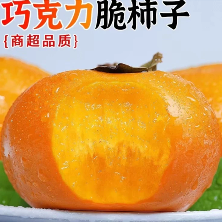 鲜甜脆杮子脆柿子2-9斤新鲜水果当季脆甜硬柿子脆皮巧克力柿包邮
