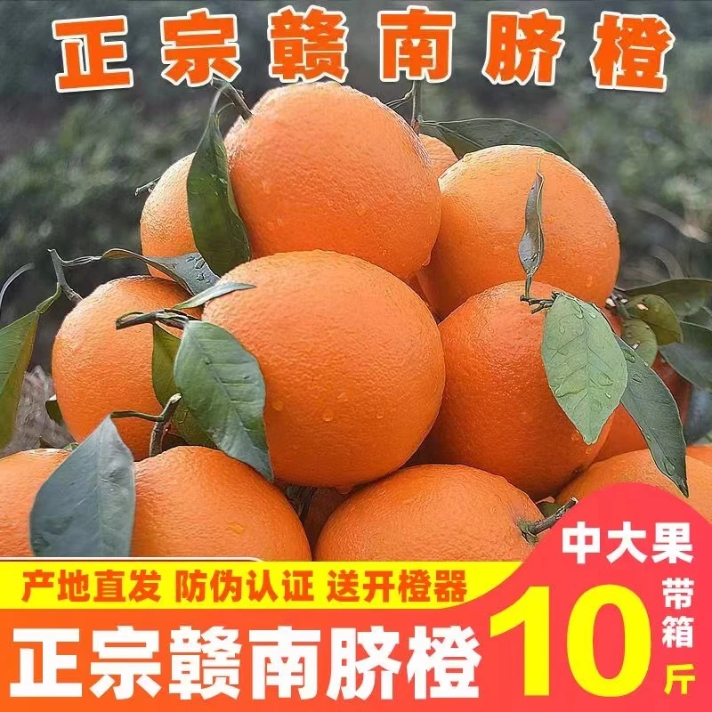 正宗新鲜脐橙新鲜应季3-9斤橙子水果冰糖手剥橙现摘现发整箱包邮