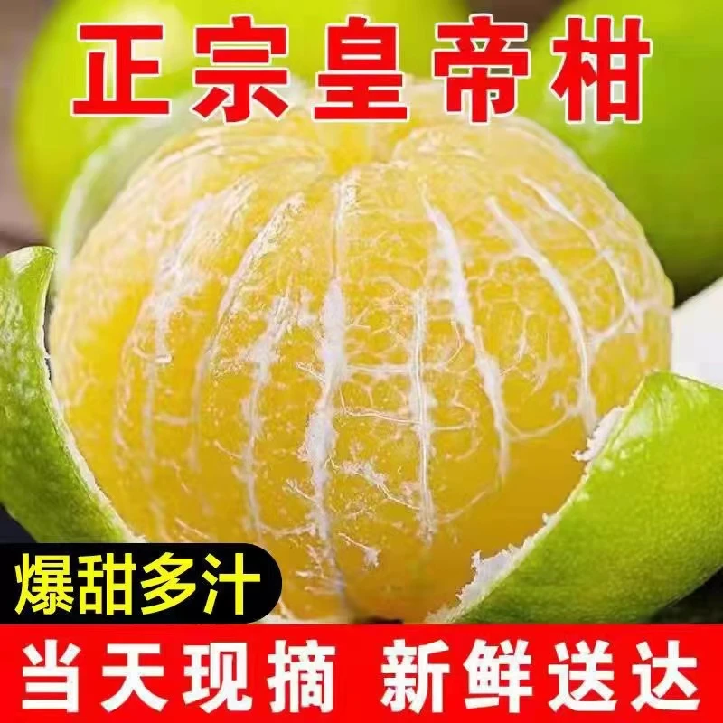 正宗皇帝柑新鲜现摘现发3-9斤当季水果皮薄口感多汁超甜整箱包邮