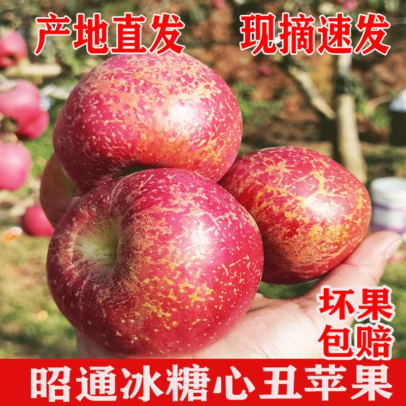 丑苹果冰糖心当季新鲜水果红露平野生苹果5斤红富士苹果整箱包邮
