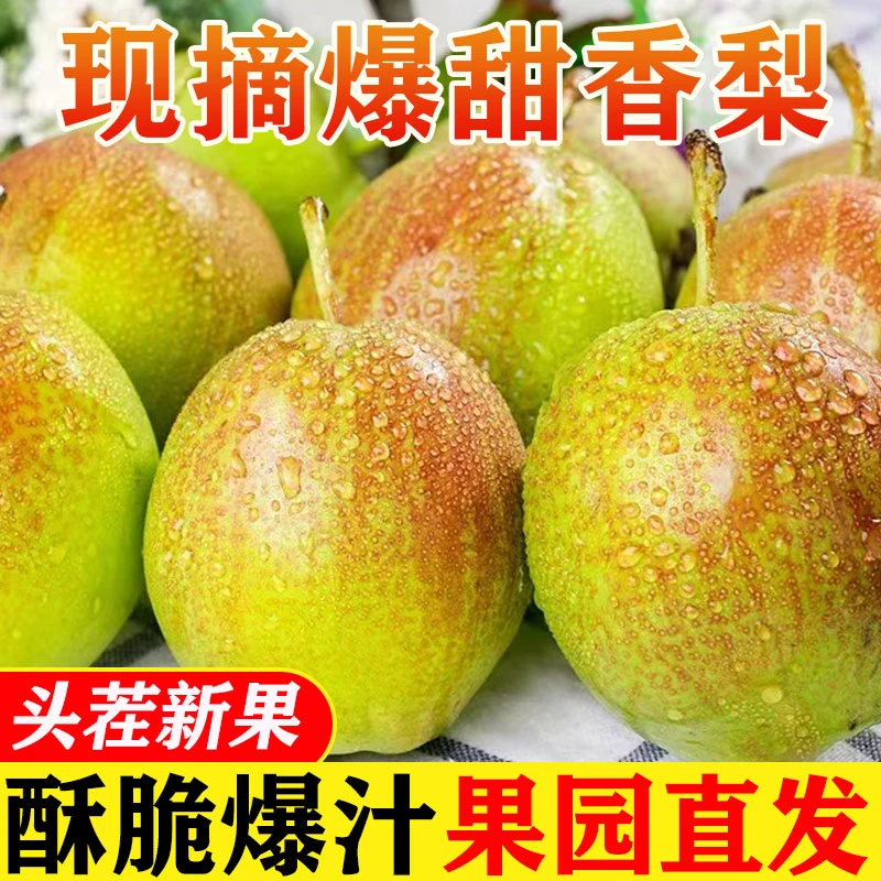 新鲜库尔勒香梨3-9斤水果梨子口感脆甜皮薄梨现摘现发整箱包邮