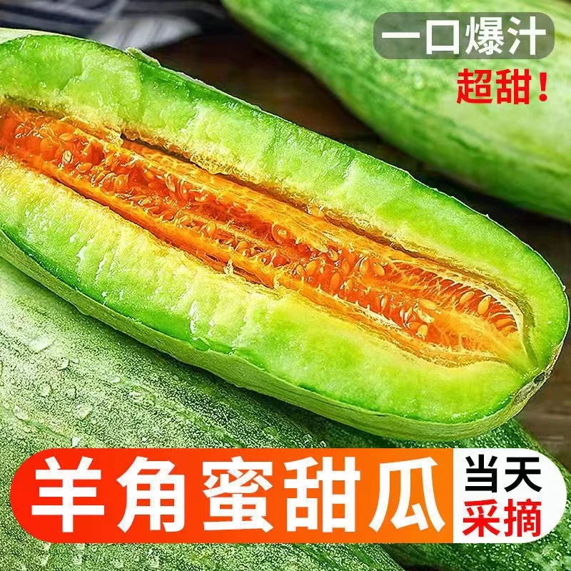 羊角蜜甜瓜水果现摘新鲜当季3-5斤小密瓜香瓜蜜瓜羊角脆整箱包邮