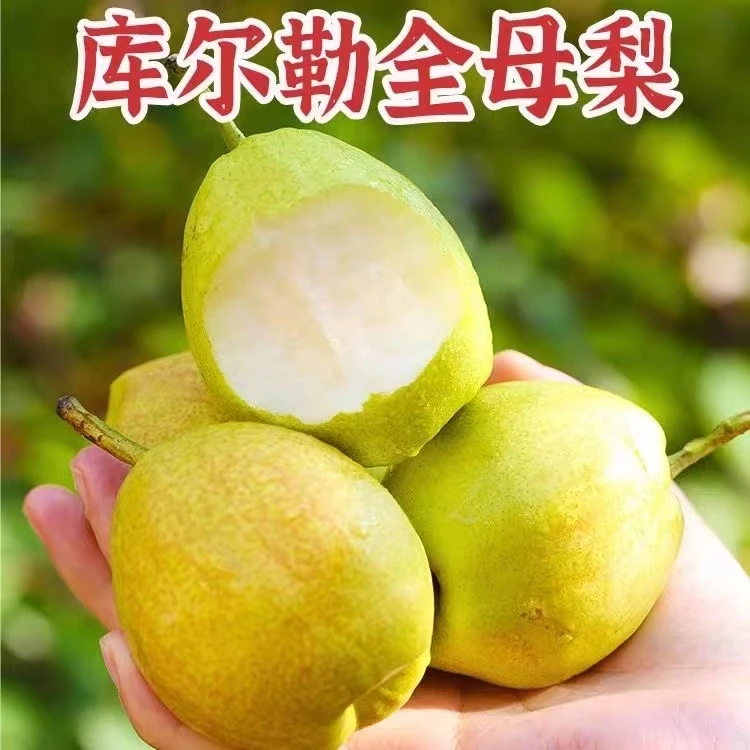 爆甜红香酥水果应季3-9斤新鲜小香梨包邮薄皮口感脆甜非新疆香梨