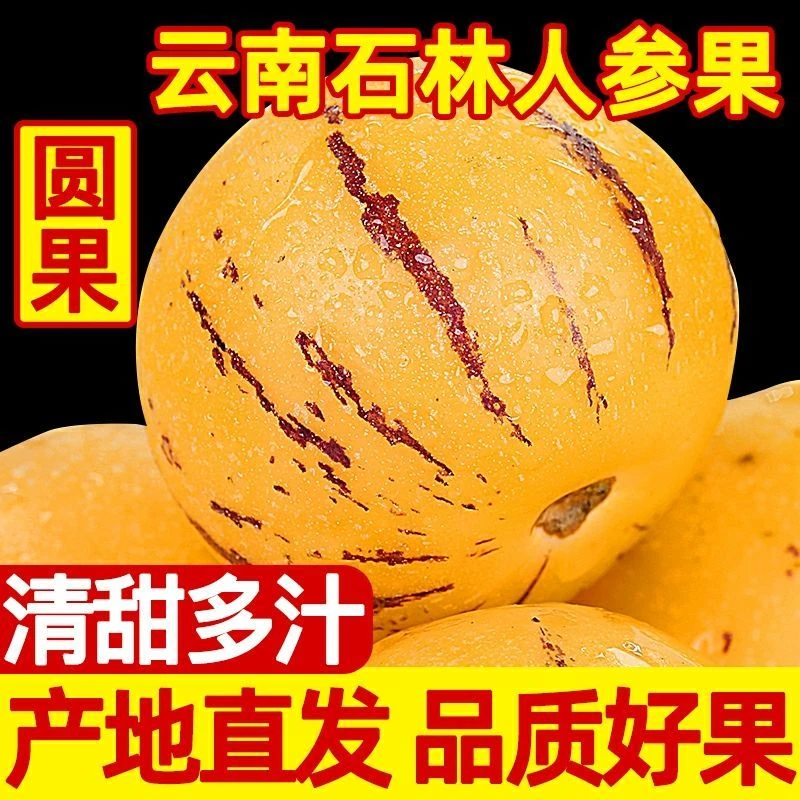 珍珠人参果1-8斤圆果当季新鲜树上熟人叁果水果黄肉小果人生果