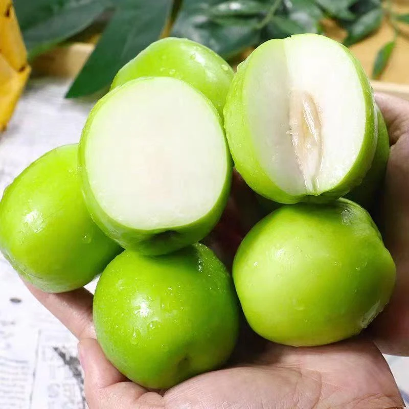 牛奶大青枣1-9斤牛奶果新鲜贵妃奶枣奶油青枣脆甜应季水果包邮