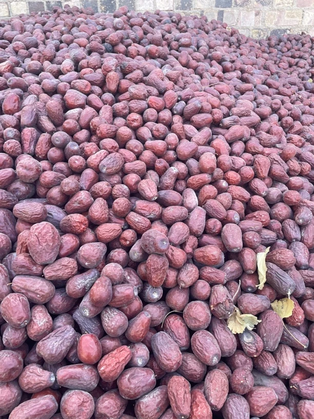 新疆和田大枣特级枣王大枣无洗无加工原产地包邮到家