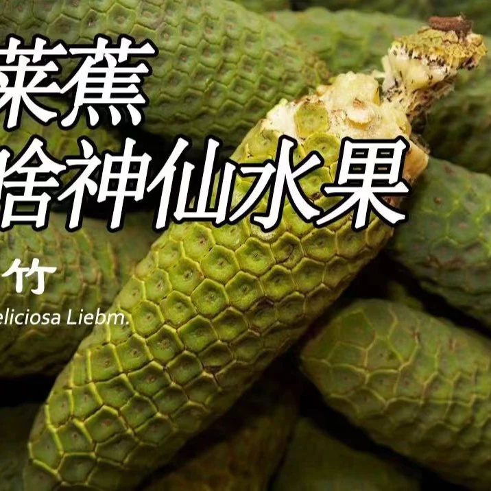400~450克网红水果 龟背竹果实蓬莱蕉 菠萝草莓释迦菠萝蜜百香果