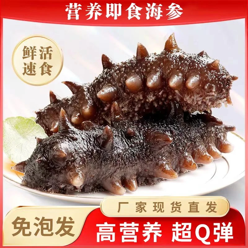 【饭店同款】鲜食海参即食大连深海辽刺参海参礼盒非淡干海参非干货