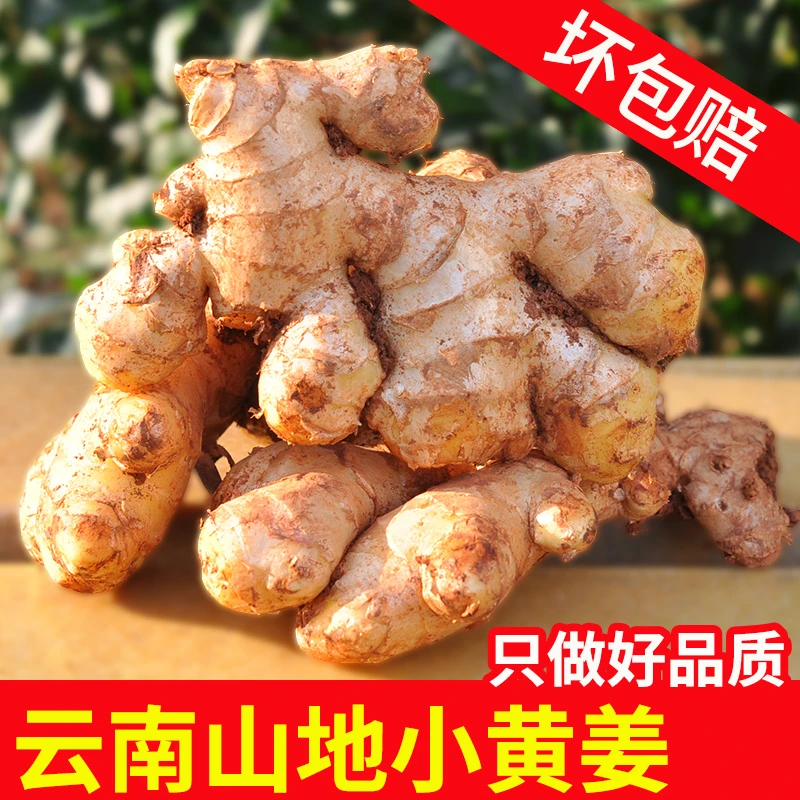 2024年云南品质露天小黄姜现挖现发新鲜香辣十足3斤5斤9斤包邮