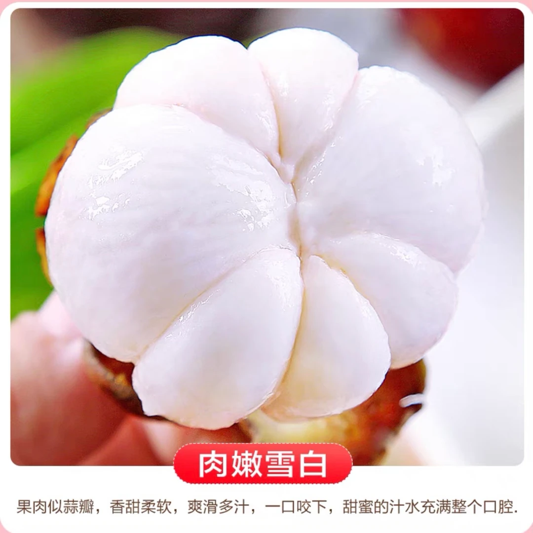 【老陈精选】泰国山竹3A果子