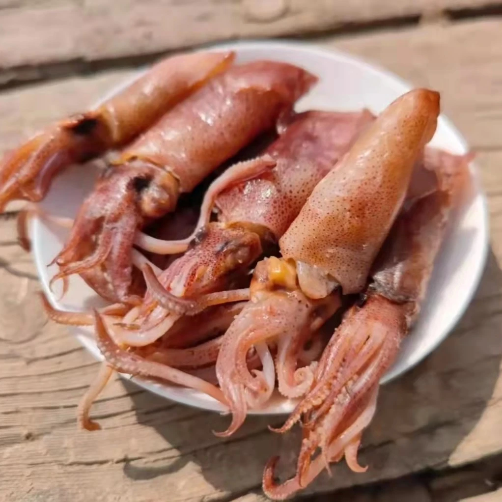 山东发货  渤海湾小海兔《乌贼》半干2斤/3斤