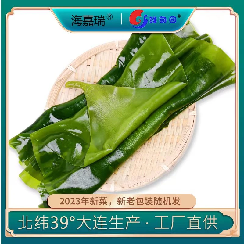 【鲜甸园】精品盐渍整颗海带 带箱5斤