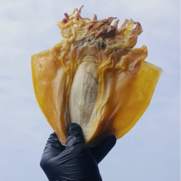 淡干淡晒墨鱼干8层干东海本地本港目鱼干乌贼干