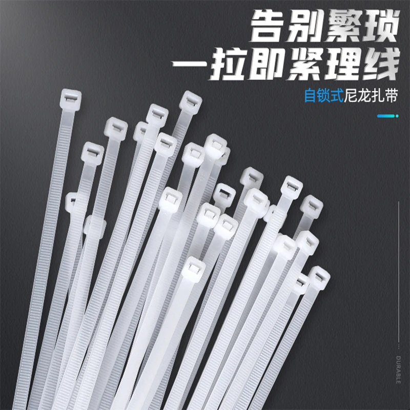 塑料网带塑料网带