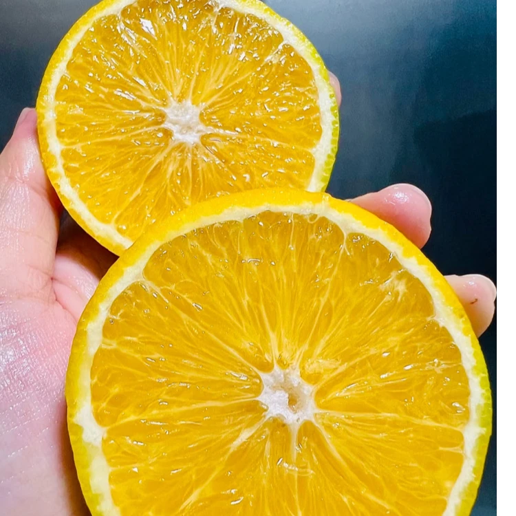 云南褚橙之乡 哀牢山老树冰糖橙 黄皮 清甜多汁 申通包邮