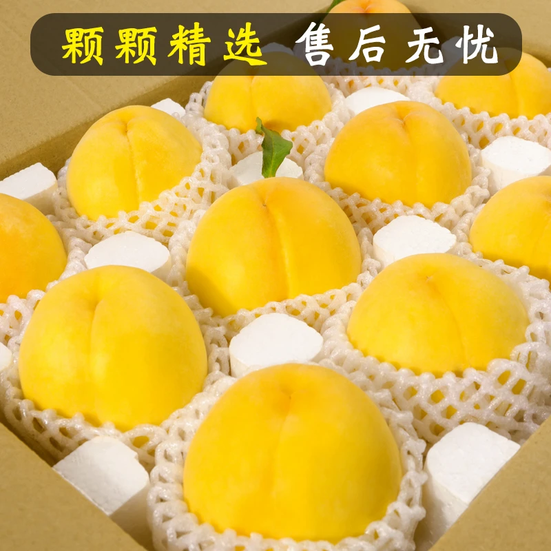 【坏果包赔】正宗蒙阴锦绣大黄桃纯甜无酸果园现摘现发应季水果新鲜