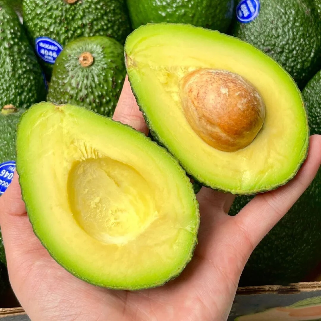 【树品源】云南牛油果5-6枚单果100g起 香醇细腻 新鲜水果坏果包赔