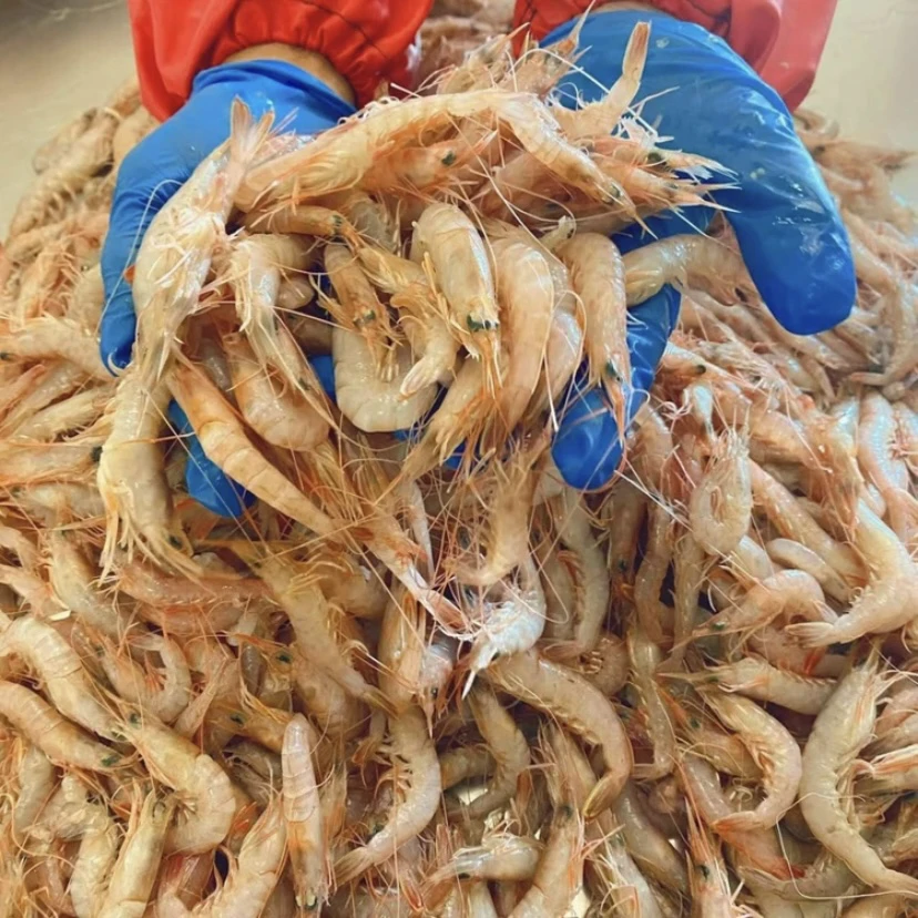 新鲜速冻鹰爪虾蛎虾 净重3斤/5斤 山东日照 顺丰冷链