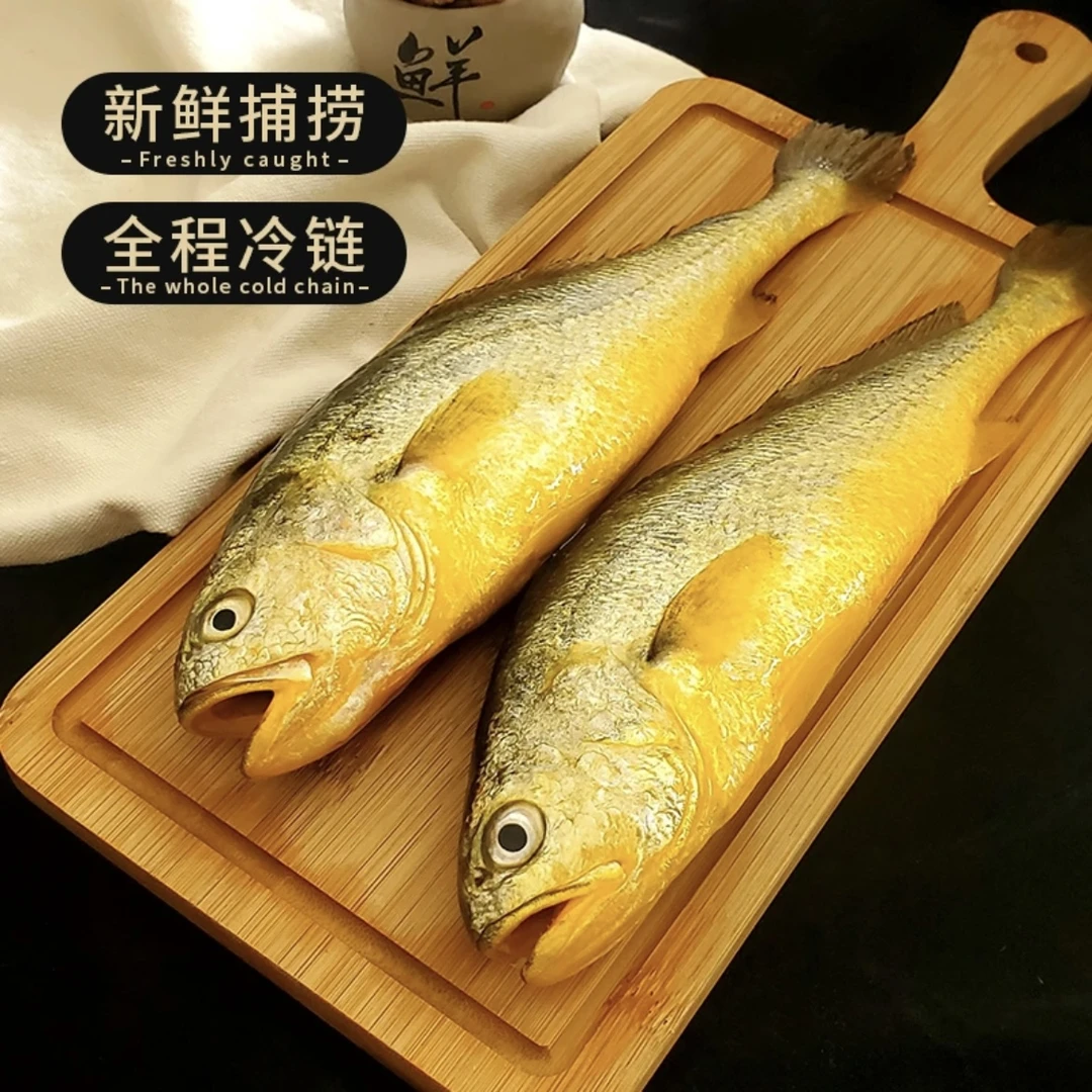 日照海捕大黄鱼 9两-1.4斤/条 发4斤左右 速冻顺丰冷链