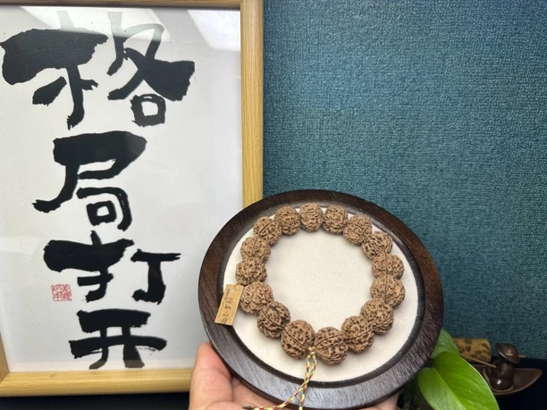 原生态19➕20尺寸超头双龙爆肉大粗筋金刚菩提