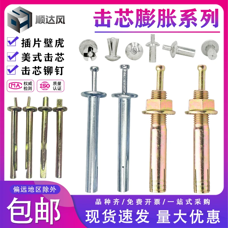 击芯膨胀美式击芯一钉得国标插片壁虎击芯铆钉锤击膨胀螺丝一砸得