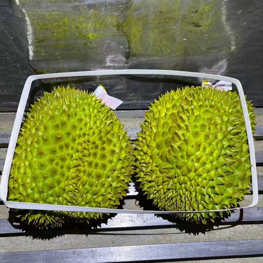 泰国金枕树熟榴莲