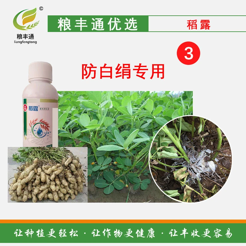 【3】高效防白绢100克装