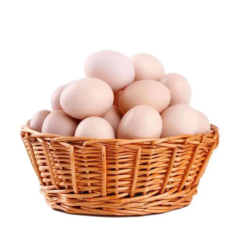 湖北京山县农村自养鸡吃红薯苞谷鸡蛋土鸡蛋