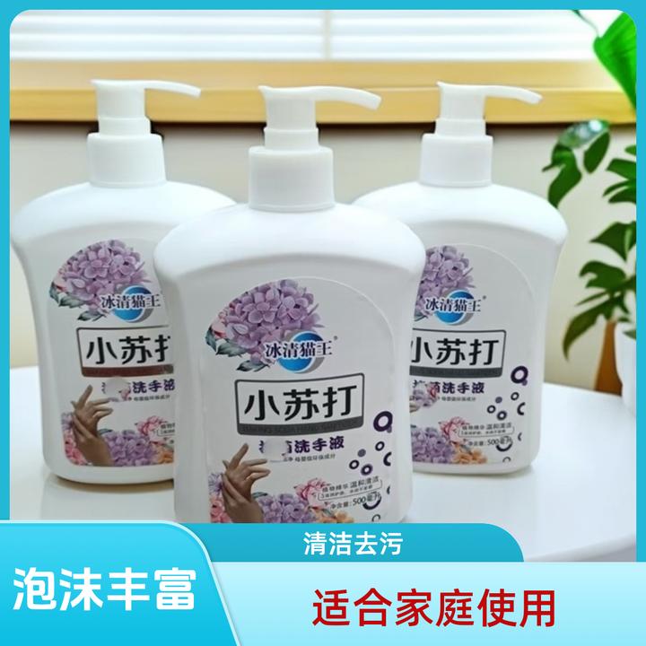 洗手液儿童大人可用家用去油污家庭实惠装香味持久留香冰清猫王