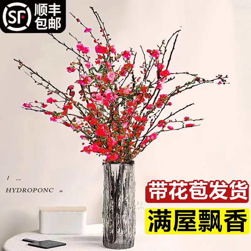 水培植物带花红梅桃花树鲜切玉兰鲜花室内花卉雪柳盆栽切养绿植物