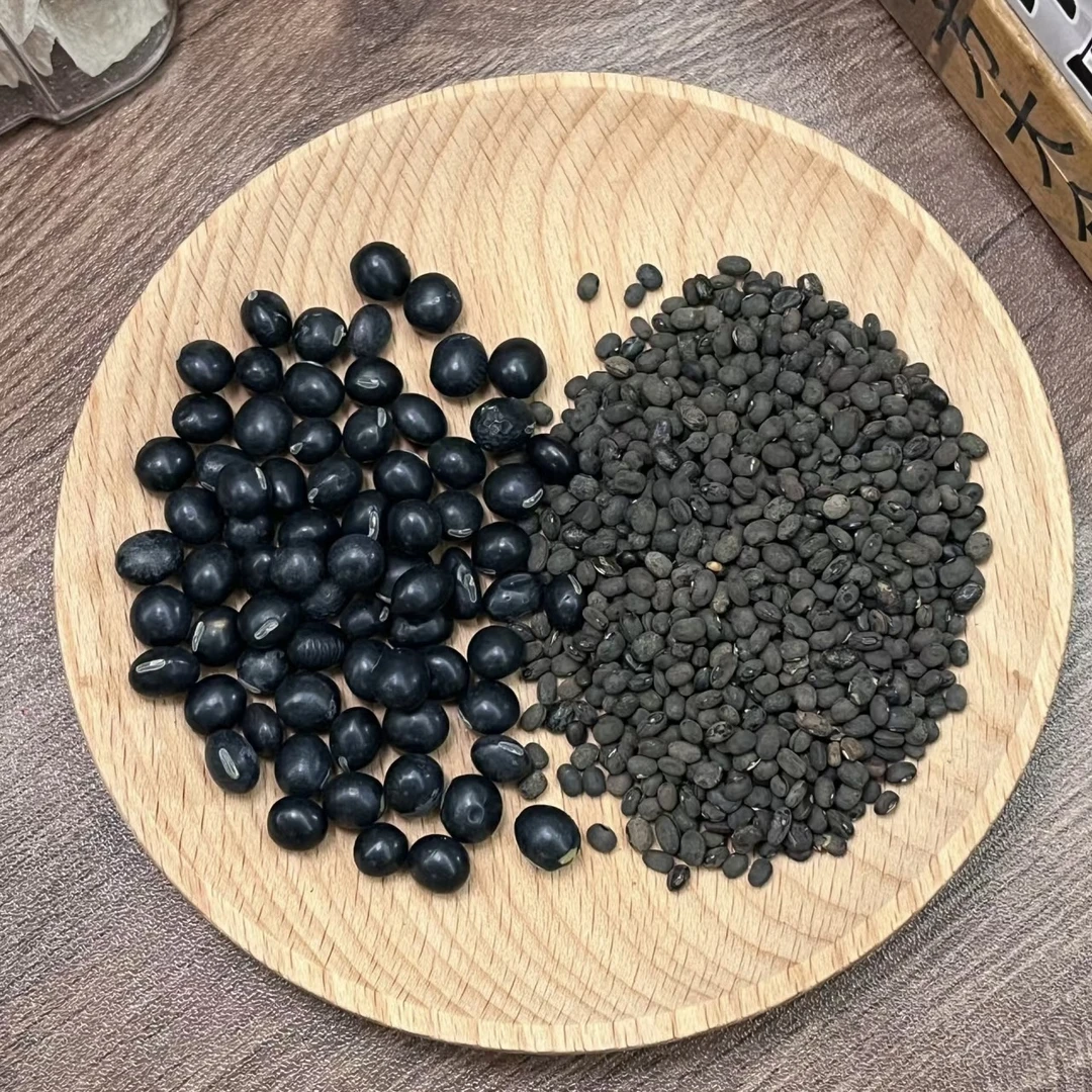 传敬堂/ 小黑豆 本草记载 250g/罐 精选健康品质高货