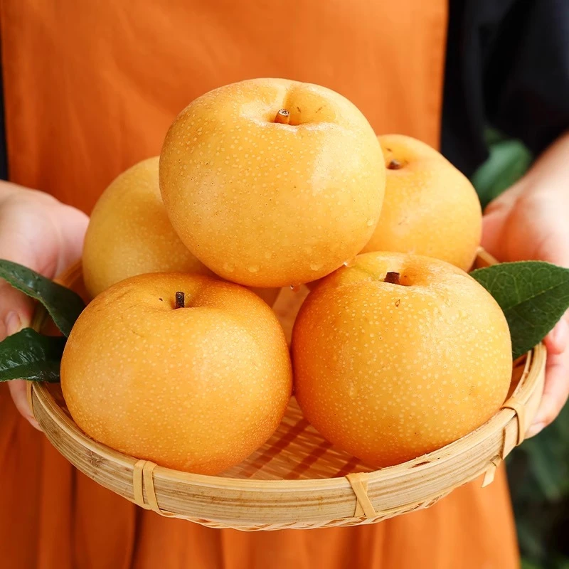 【展卉】山东莱西秋月梨4.5-7斤装单果300g+（核心产区）京东顺丰