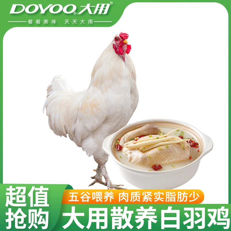 【拍一发四】大用白羽鸡生鲜整鸡走地鸡