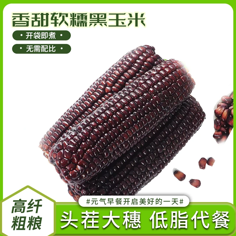25年新山西黑糯玉米（拍8送2）发10支单支220g以上