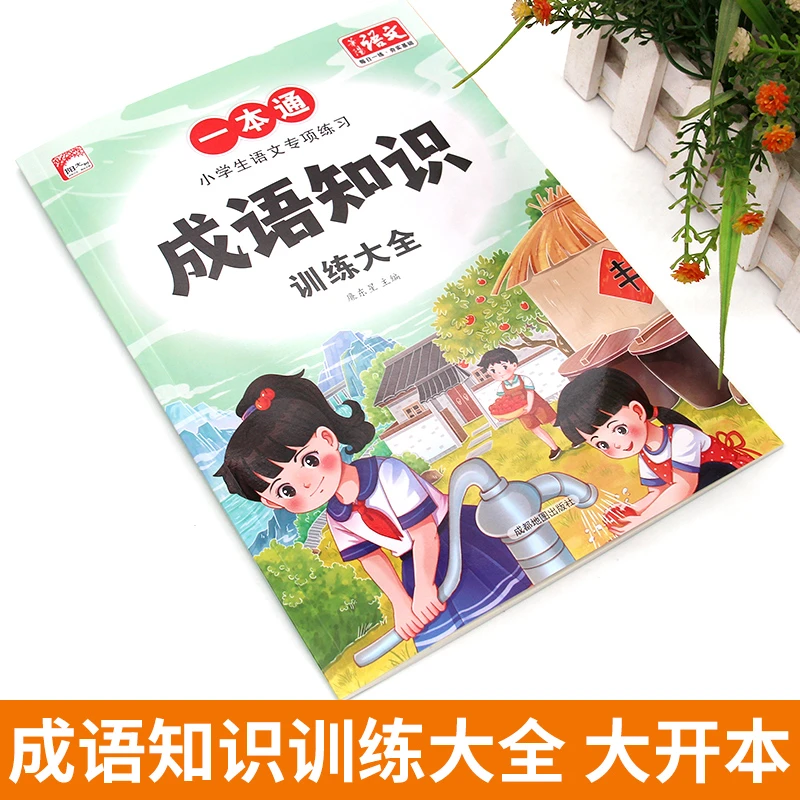 小学生语文专项练习一本通成语知识训练大全专项练习题每日一练