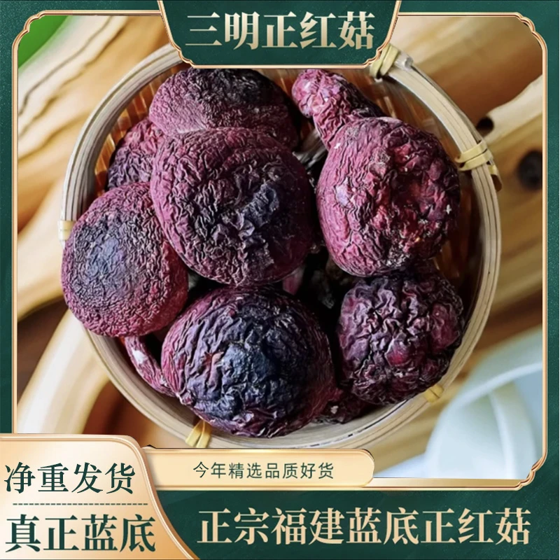 蓝底正宗红菇野生500g新品武夷山红椎菌礼盒装高档正红菇干货