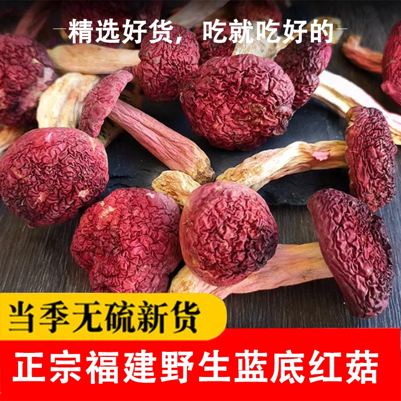福建三明野生红菇送礼干货蓝底正宗月子红蘑菇营养煲汤大红菌菇
