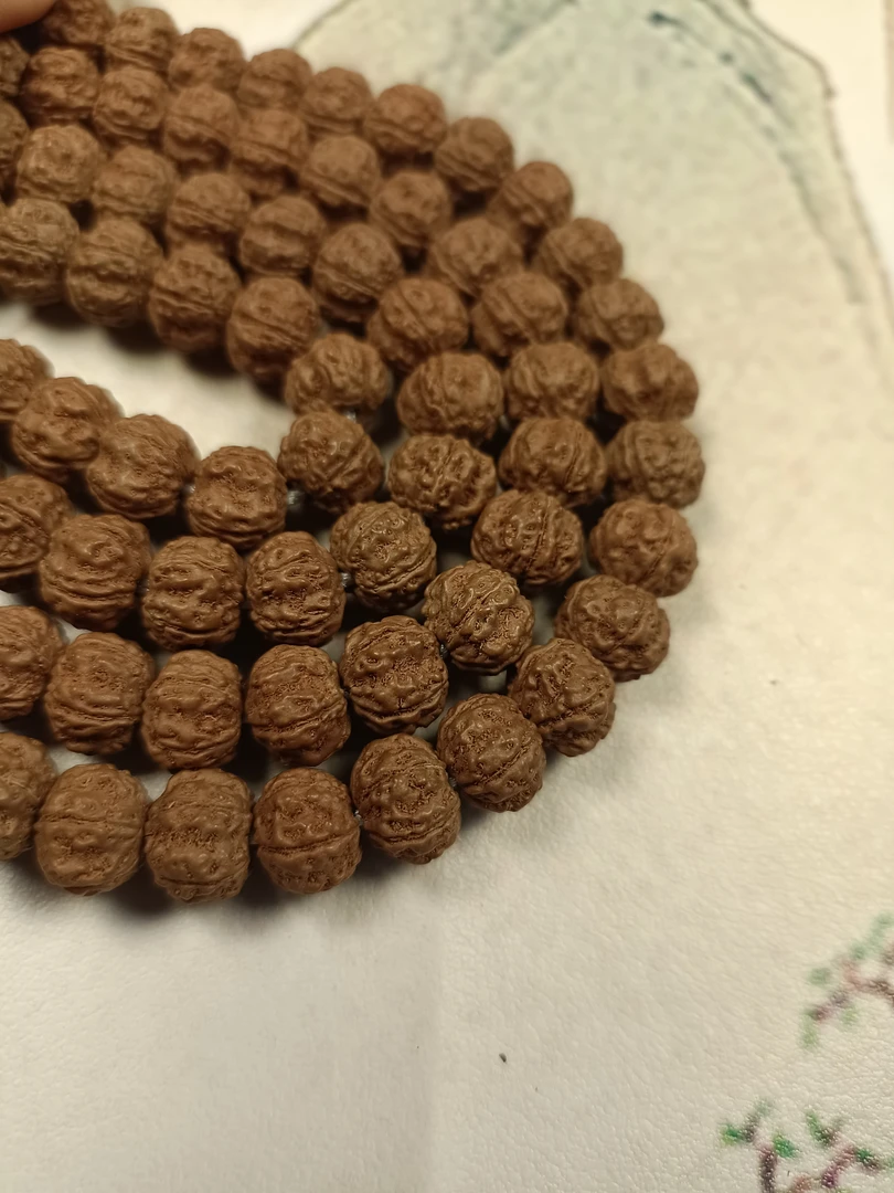 NMZ 原生态平细 *五爪*梅花8-12mm+钢丝刷