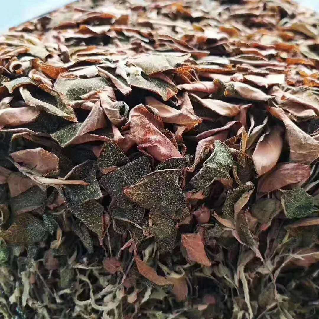 福建金线莲整株干品花茶50g/份