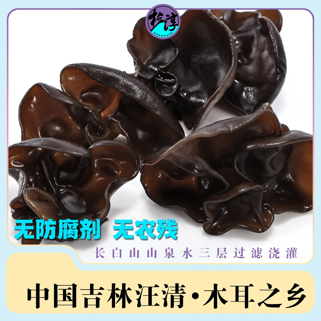 东北长白山特产汪清县秋木耳无根无沙肉质厚实Q弹爽口假一赔十