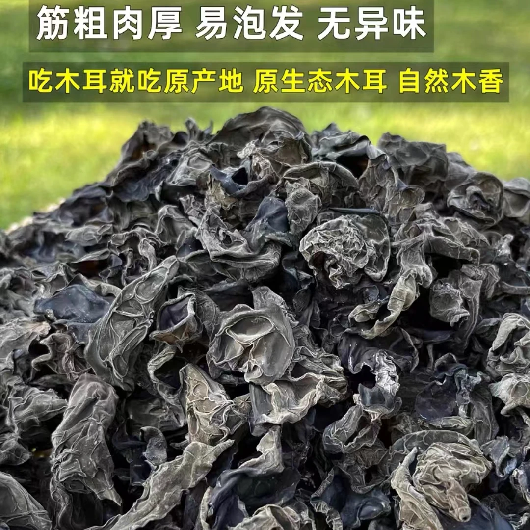 原生态林区木耳好吃特产长白山风倒树柞树楸树木耳250克2袋正宗