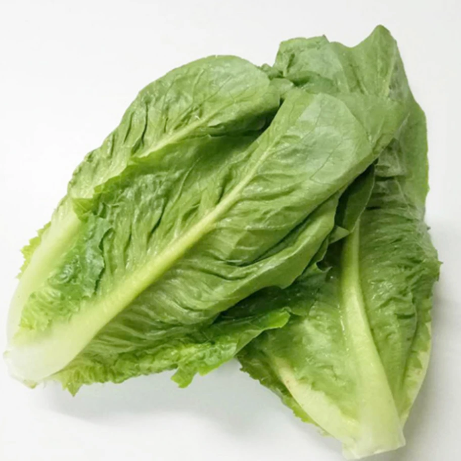 北京直发罗马生菜约200±30g/份