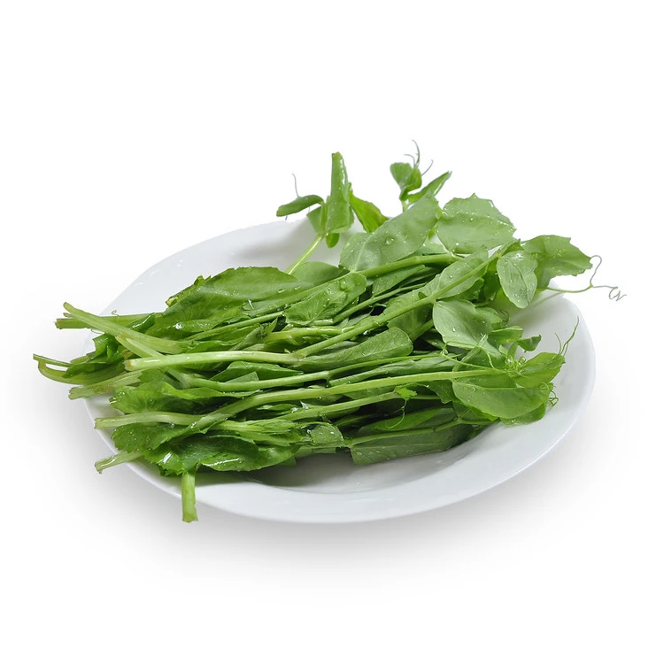 贵州龙里特菜豌豆尖 约150g±10g/份（需要去根 涮火锅）